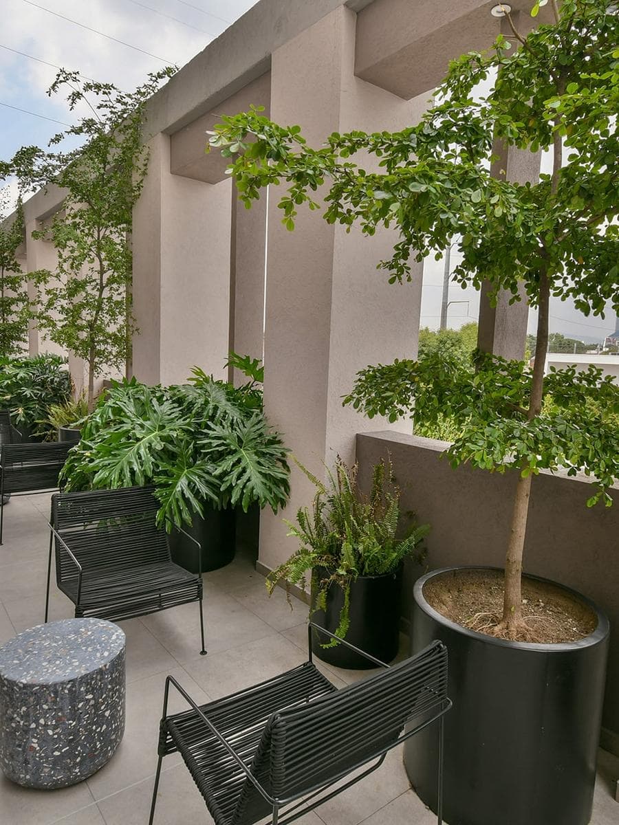 APARTMENTS STARTING AT $2,400,000 IN COL. MODERNA, GUADALAJARA, JAL.