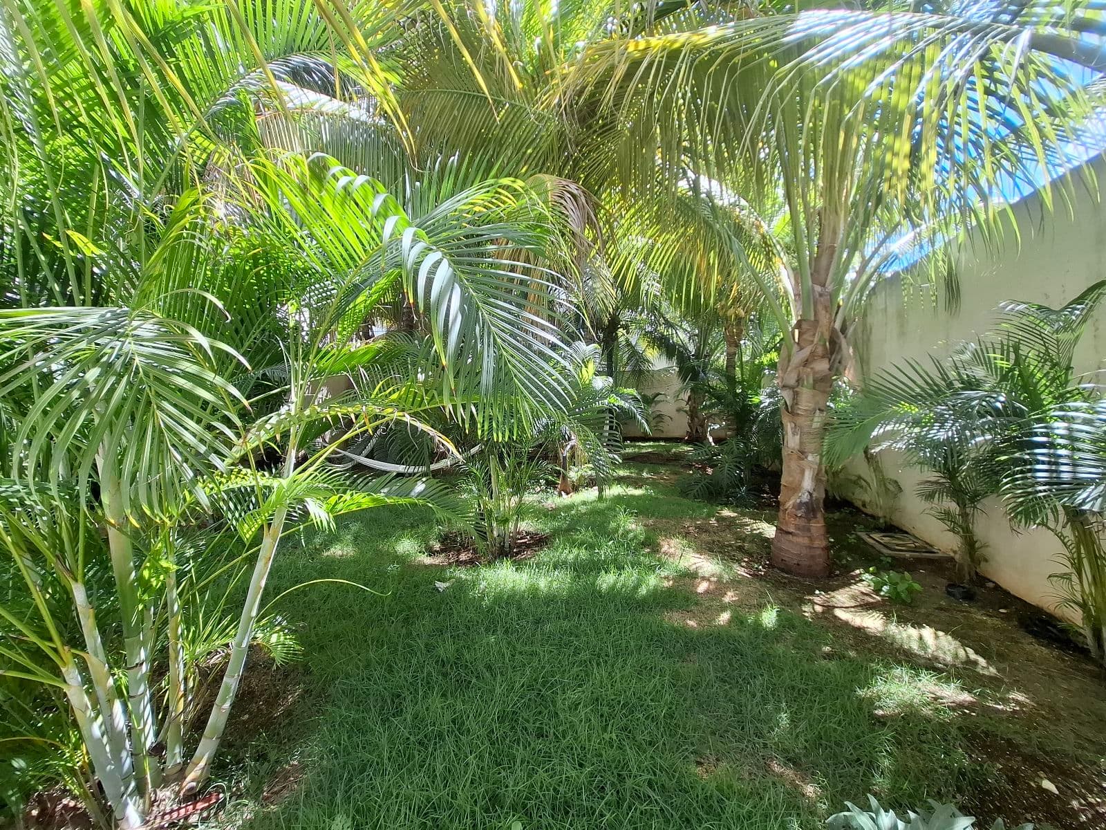 Penthouse for Sale in Akuna, El Cielo, Playa del Carmen.