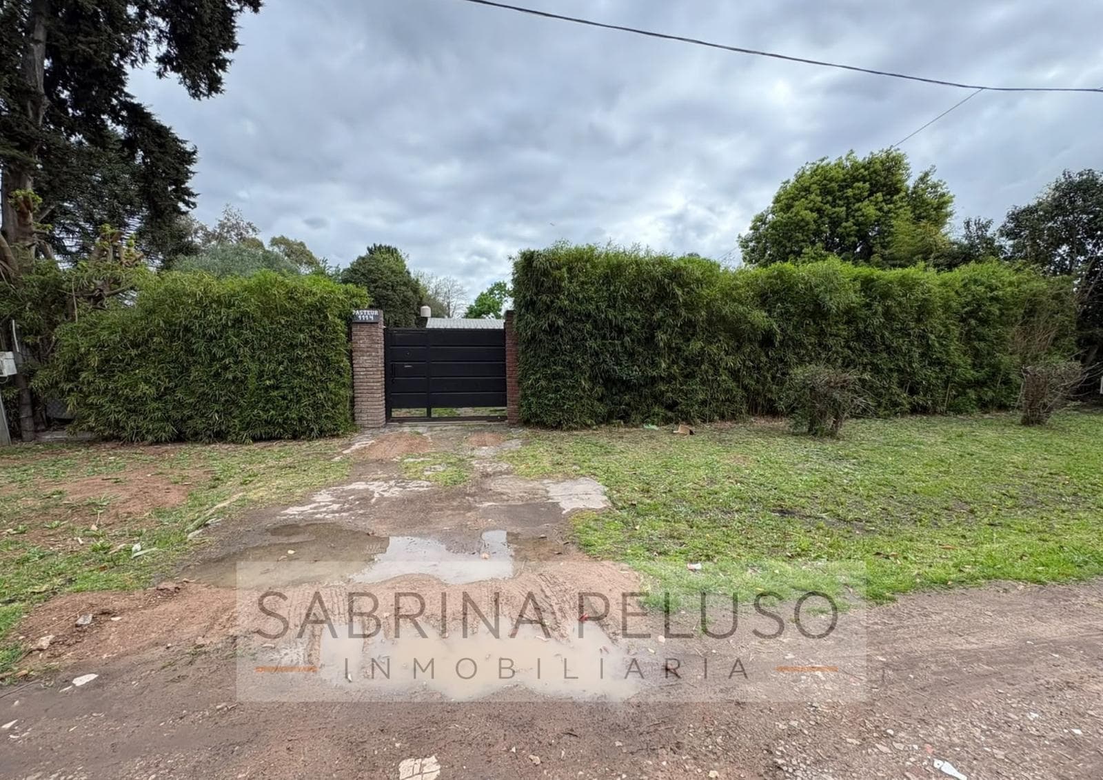 House in Paso Del Rey