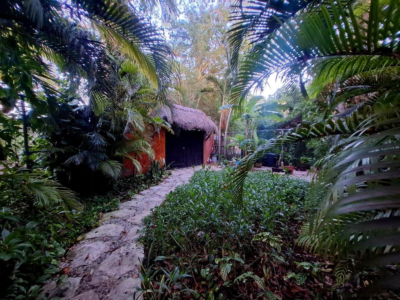 House for Sale in El Tigrillo, Playa del Carmen