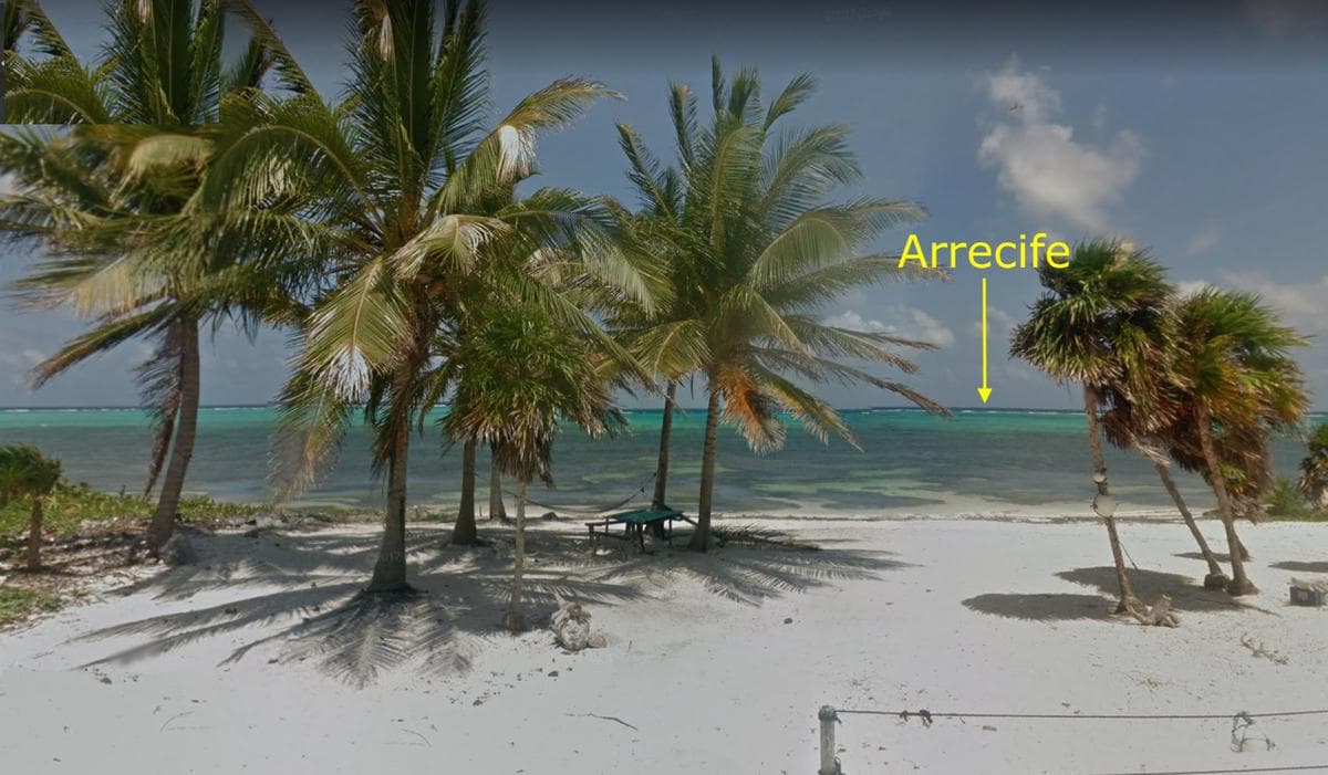 LAND FOR SALE ON MAHAHUAL SUR BEACH