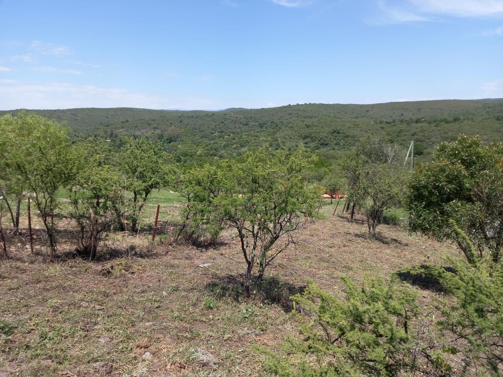 OPPORTUNITY IN VALLE HERMOSO