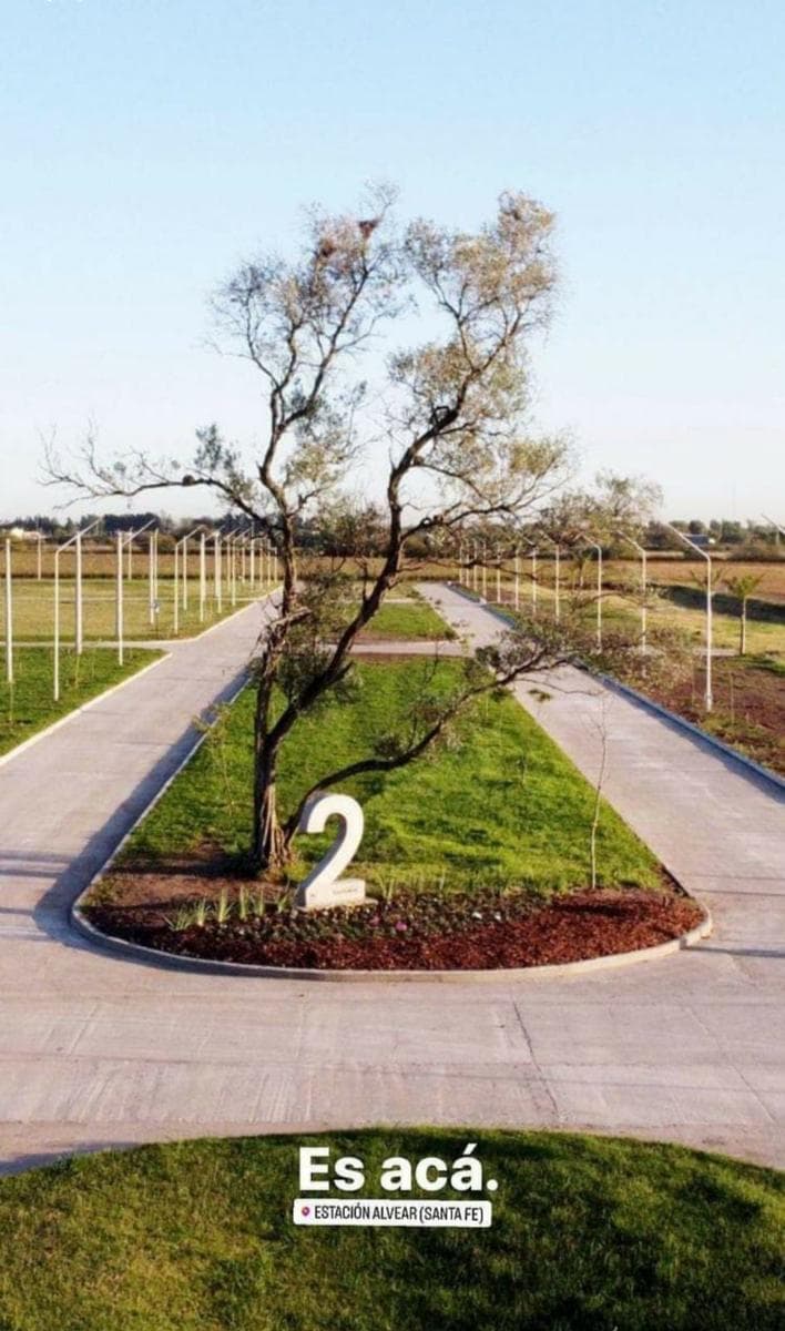 Land in Alvear