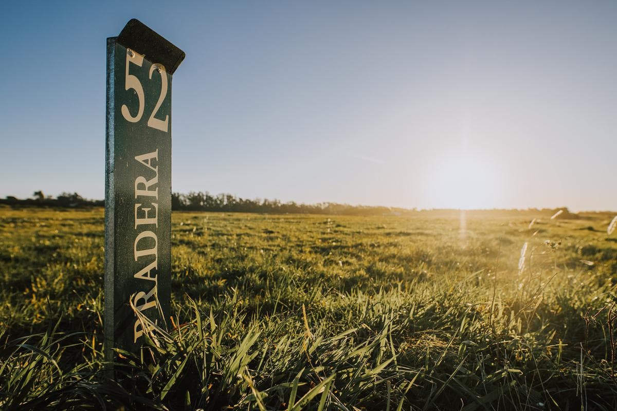 LAND IN MAR DEL PLATA COUNTRY CLUB