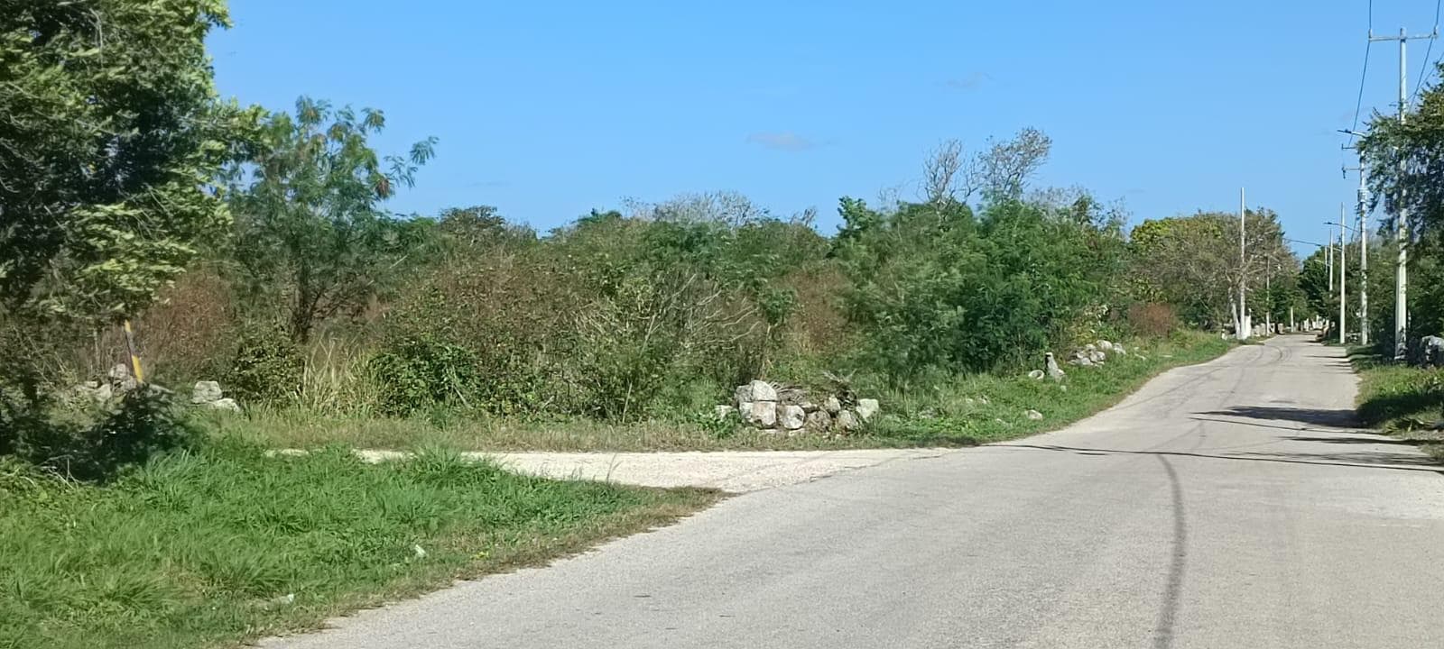 Land for Sale in Chicxulub Pueblo