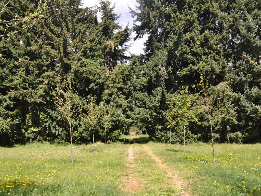 Gated Community—Access to Lake Nahuel Huapi