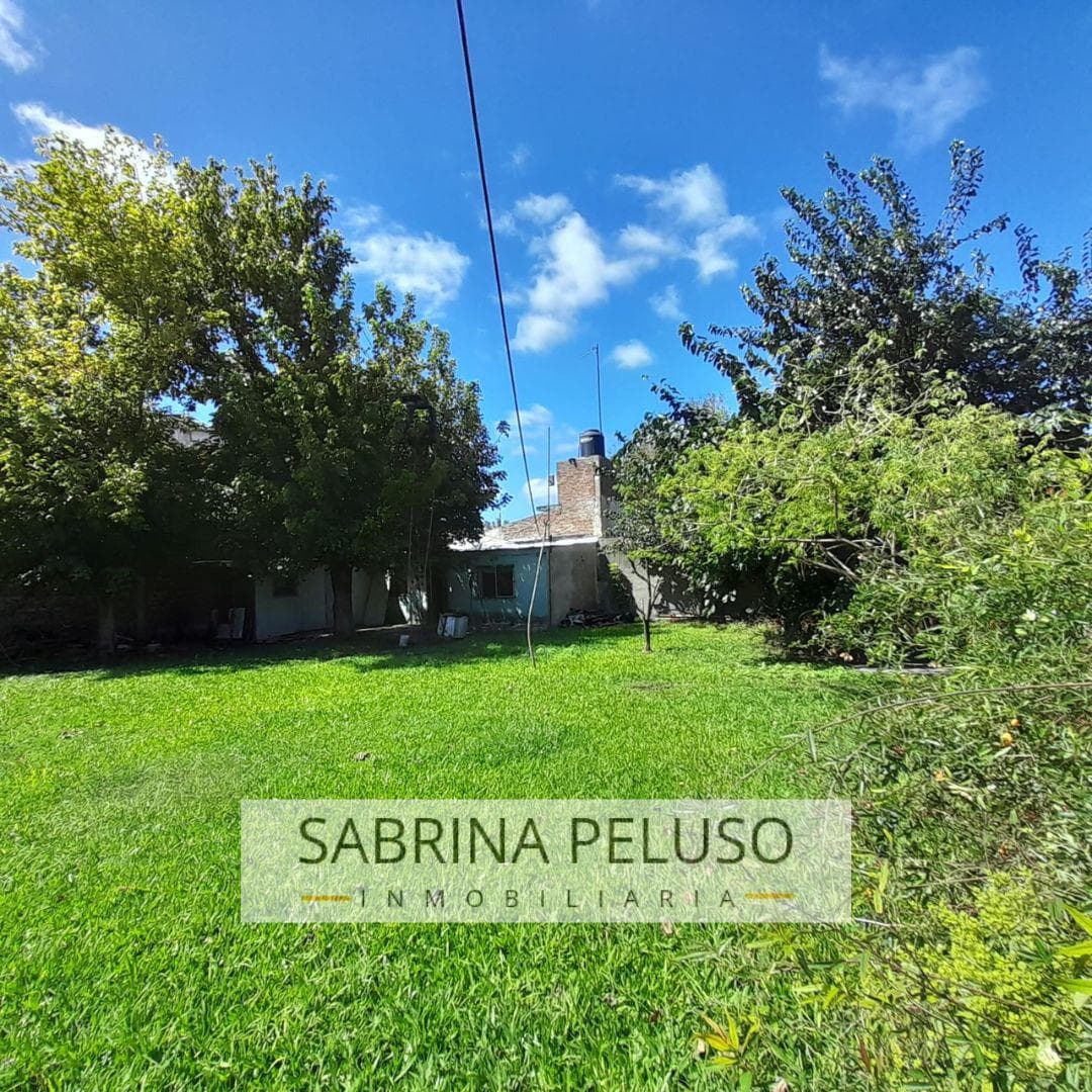 Lot in Carlos Spegazzini