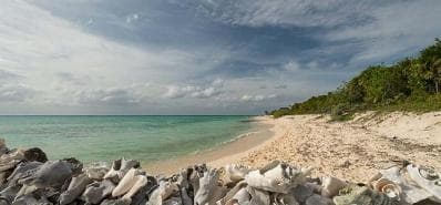 Oceanfront Lots in Playa Cozumel.