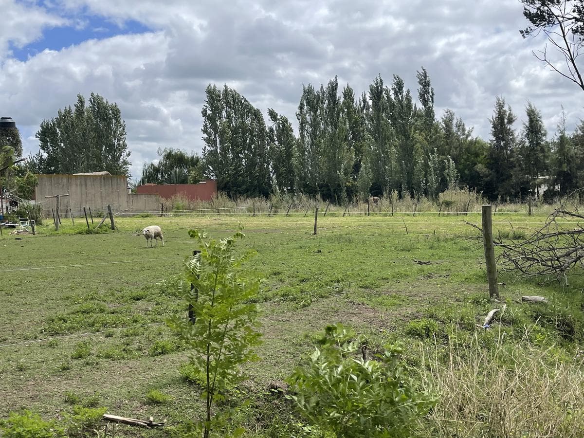 Land for Sale - Salvador Maria, Lobos