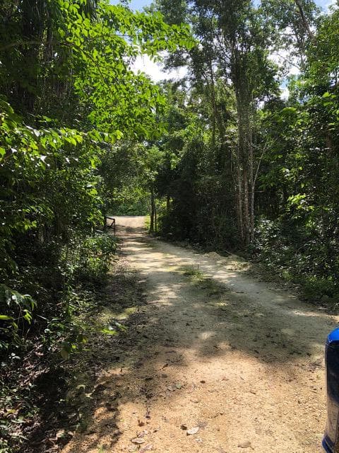 LAND FOR SALE ON THE CENOTE ROUTE IN PUERTO MORELOS, 5,000 M2