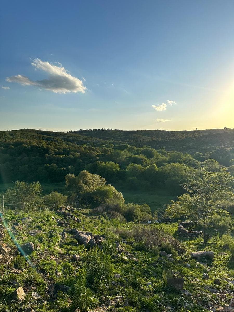 LAND FOR SALE IN THE MOUNTAINS NEAR THE RIVER