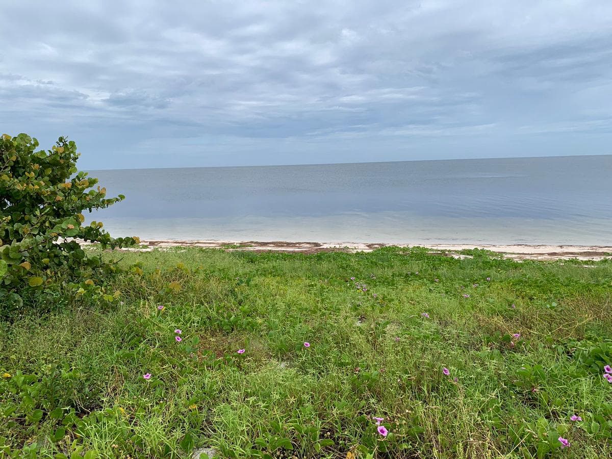 A 20 x 190-meter beachfront lot with a cabin. Located on the road to Dzilam de Bravo