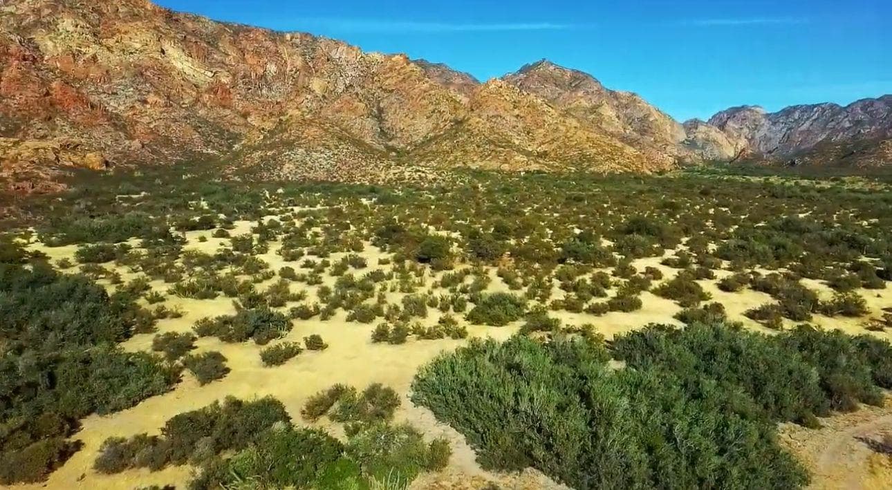 Land with a private beach for sale in San Carlos, Sonora.