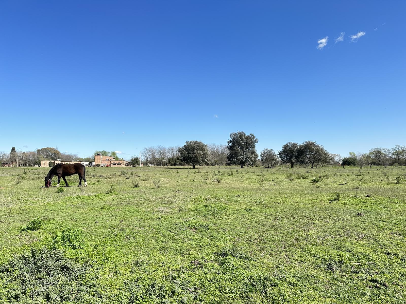 Land for Sale in Lobos, Lots of Nearly 1 ha