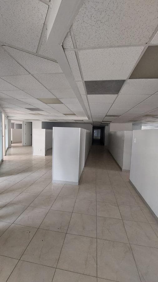 Office for Rent in Anzures Near Presidente Masaryk