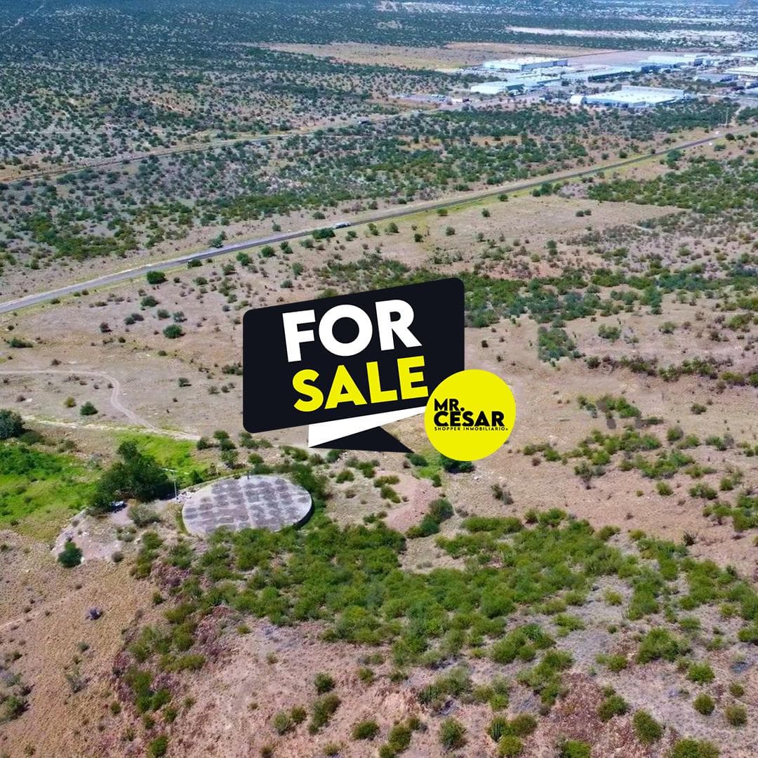 Two plots of land for sale on the road to La Colorada