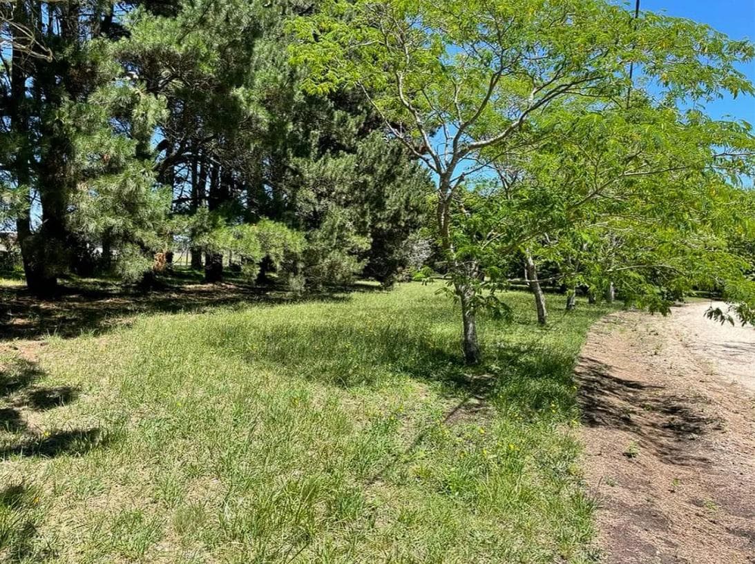 Land in Santa Clara Del Mar