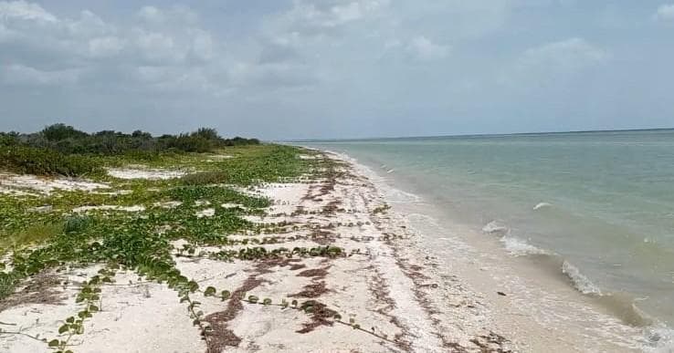 BEACHFRONT PROPERTY FOR SALE IN CELESTÚN, YUCATÁN | BEACH AND HIGH APPRECIATION POTENTIAL