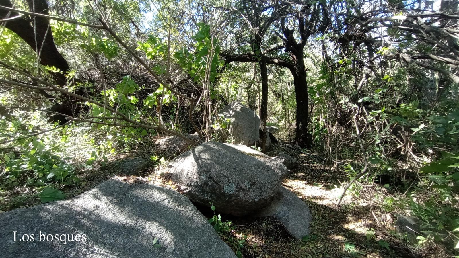 High-Altitude Ranch in Villa de Las Rosas | 2.5 Hectares | Nestled Between Mountains and Valleys