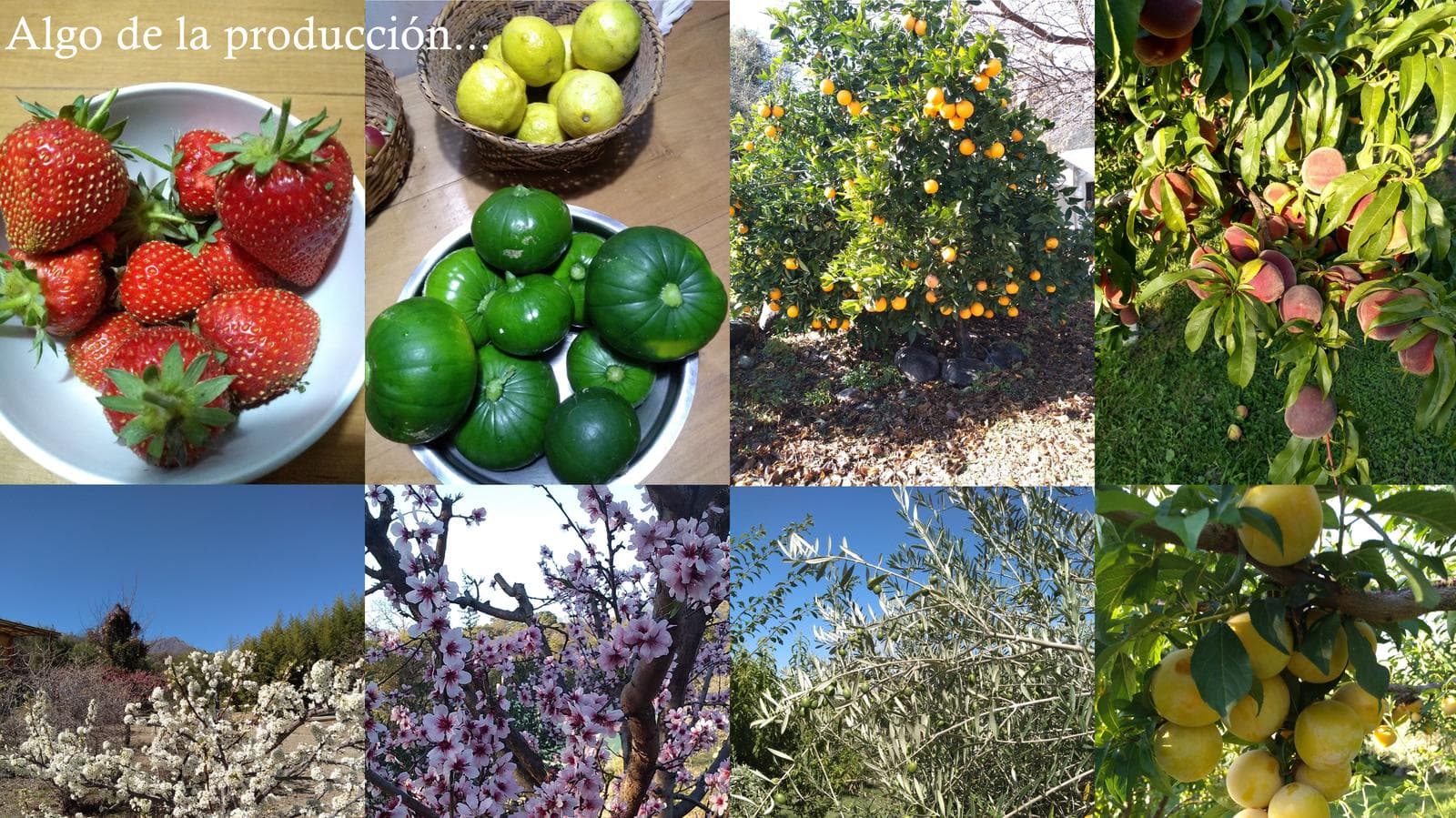 High-Altitude Ranch in Villa de Las Rosas | 2.5 Hectares | Nestled Between Mountains and Valleys