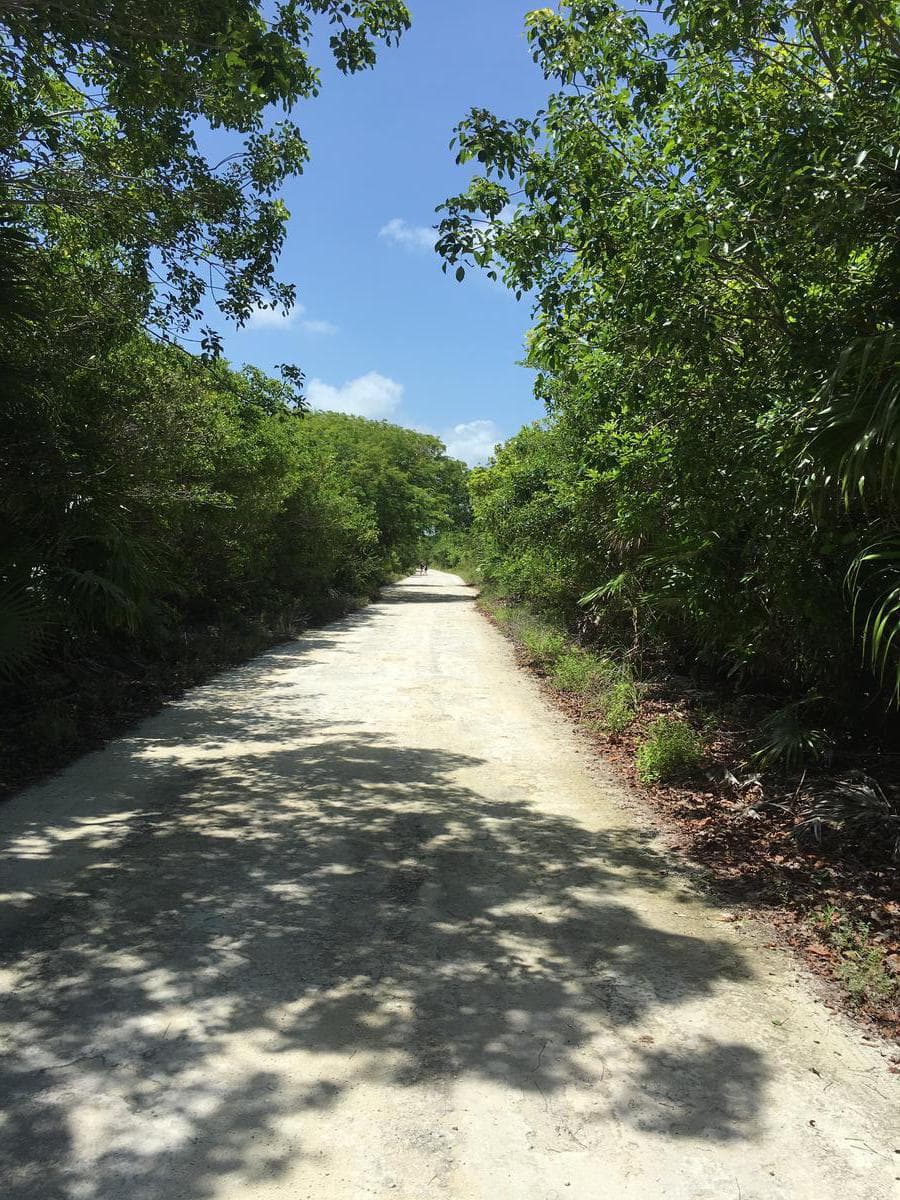BEACHFRONT LAND FOR SALE