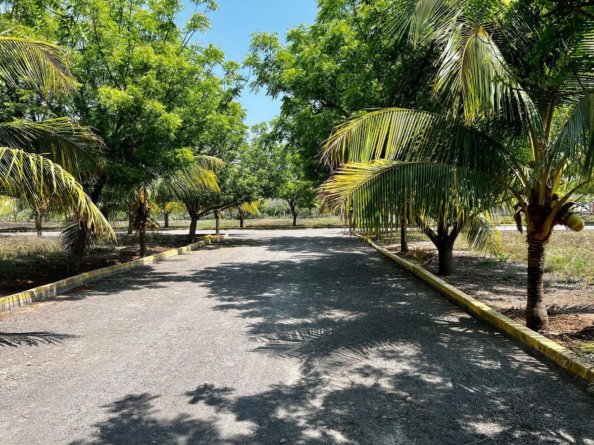 Lot with a pool and a palapa in Medellín, Veracruz