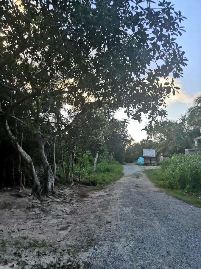 LAND FOR SALE IN CANCÚN BEHIND SUMA CASA HUAYACÁN—2,500 M² WITH HIGH APPRECIATION POTENTIAL