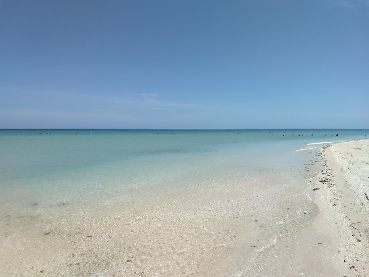 25-meter Oceanfront Lot in Sisal Sunset Shore, Yucata