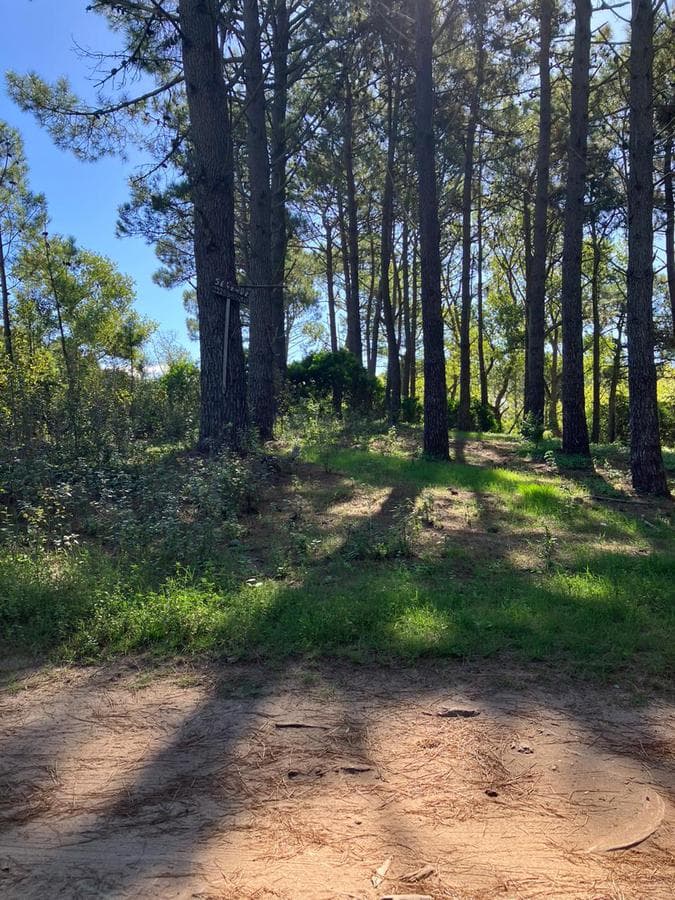 Deeded land in Las Gaviotas. Excellent tree cover and location