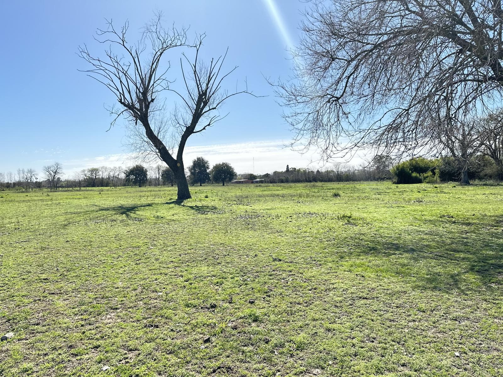 Land for Sale in Lobos: Country Home Lots of Nearly 1 ha