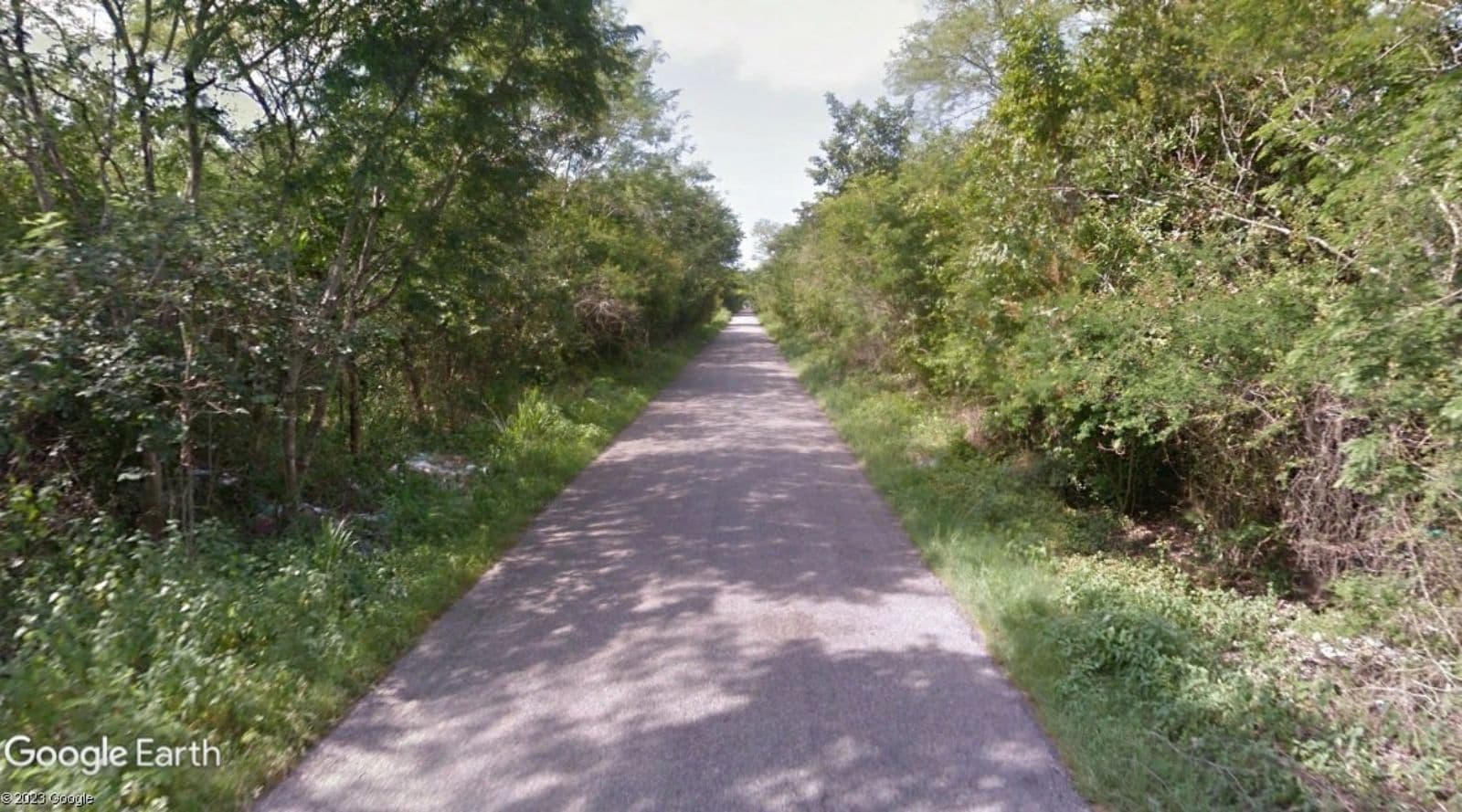 7 hectares just 60 meters from the Canicab–Acanceh Highway