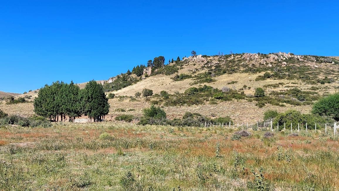 FOR SALE: 6,672 m² LOT ON PROVINCIAL ROUTE 61, HUECHULAFQUEN, JUNIN DE LOS ANDES