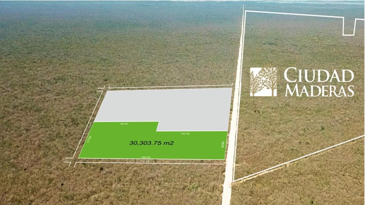 Large lot ideal for development along the roadside across from Ciudad Maderas