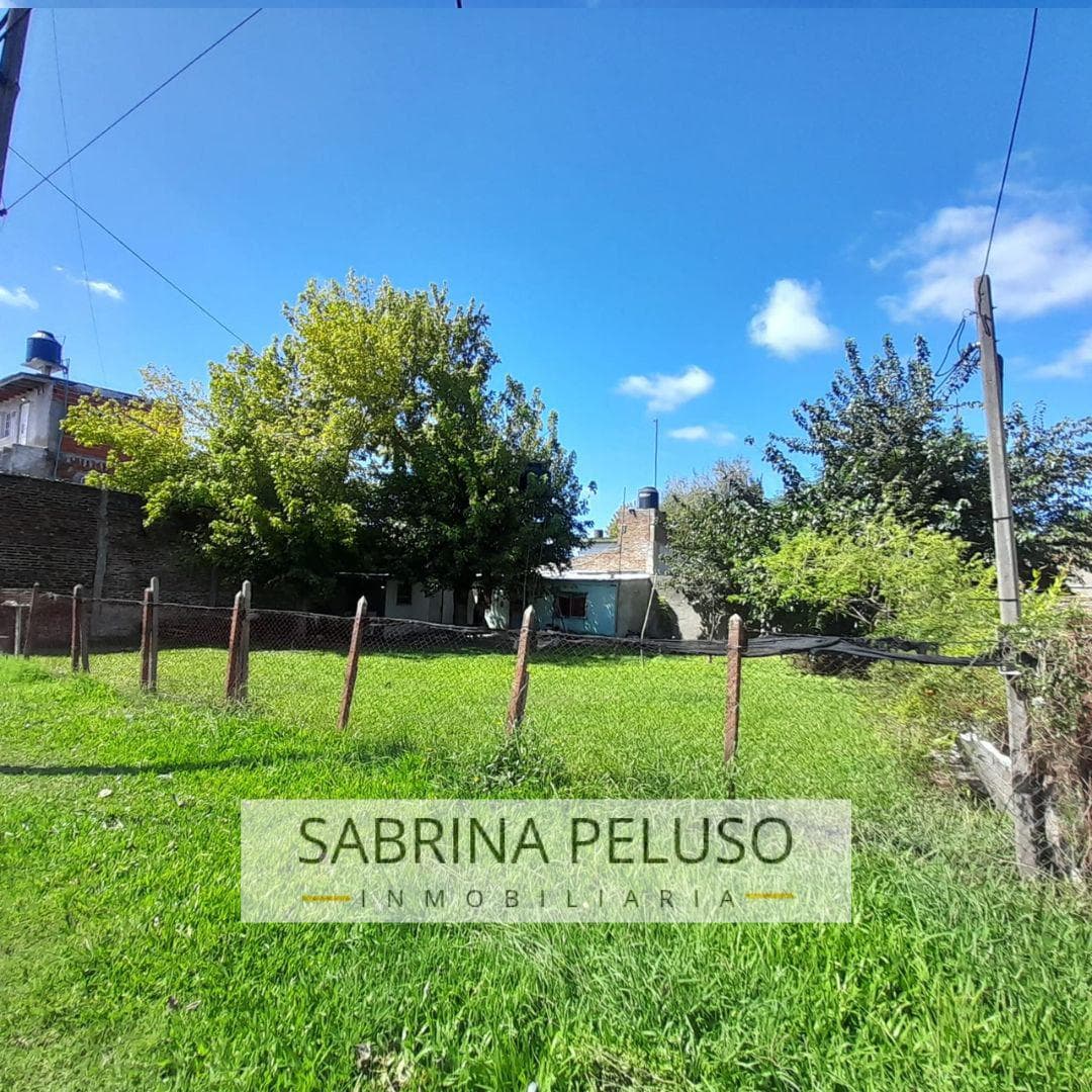 Lot in Carlos Spegazzini