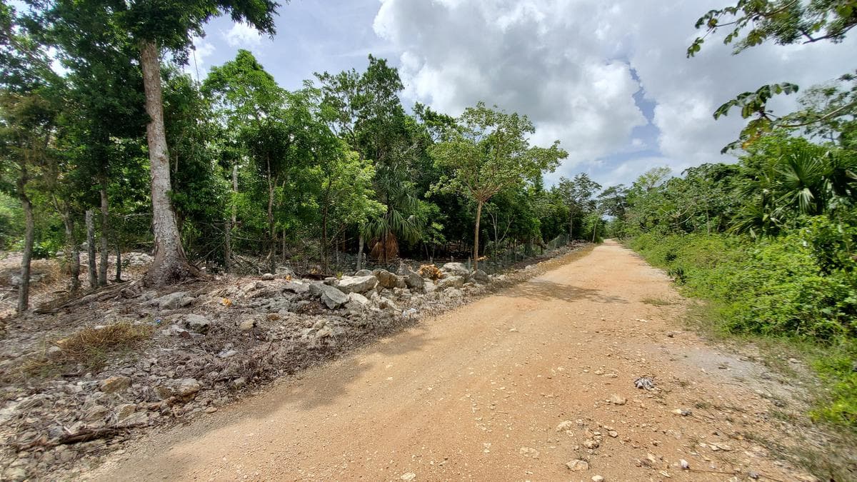 LAND FOR SALE NEXT TO XENOTES PARK—10 HECTARES—IN PLAYA DEL CARMEN