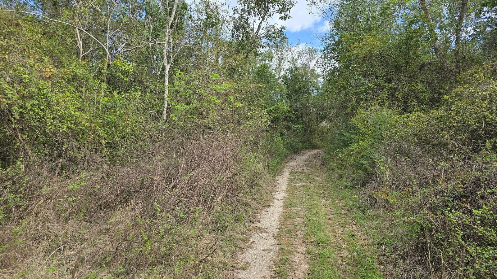5.8 hectares along the Cuzama Cenotes Trail
