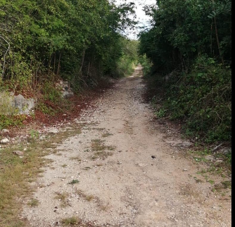 5.8 hectares along the Cuzama Cenotes Trail