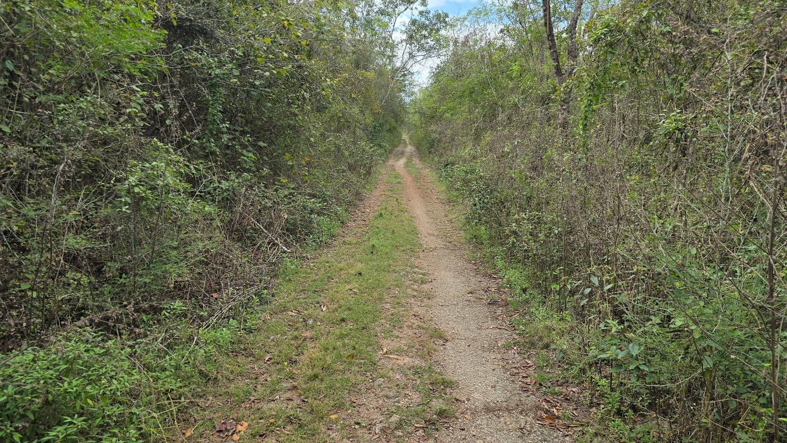 5.8 hectares along the Cuzama Cenotes Trail