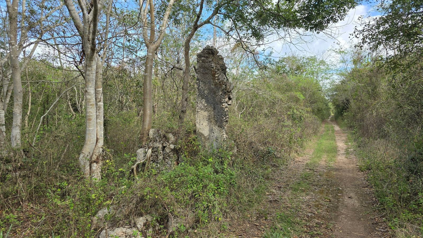 5.8 hectares along the Cuzama Cenotes Trail