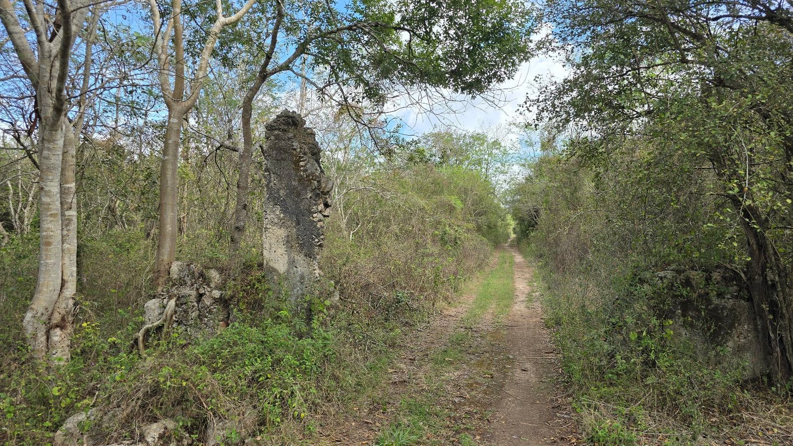 5.8 hectares along the Cuzama Cenotes Trail
