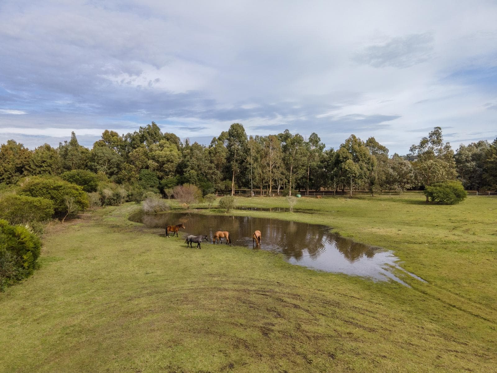 Farm in Villalagos - TM2338775