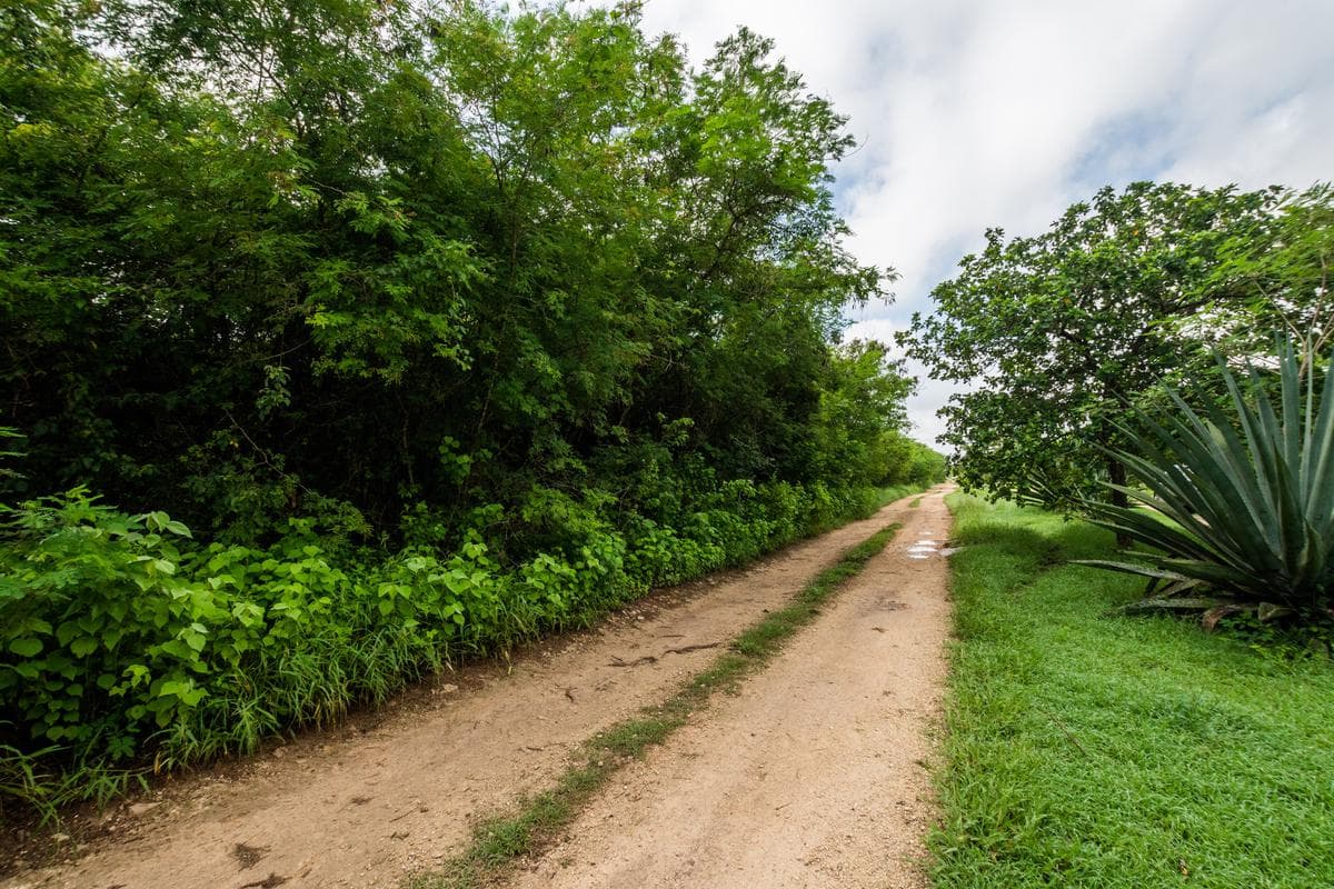 LAND FOR SALE IN CONKAL, MÉRIDA, YUCATÁN