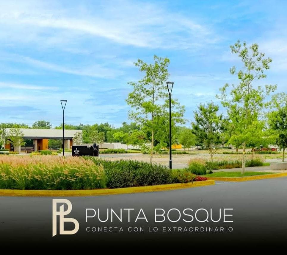 Land for Sale in Saltillo, Coahuila, North of Punta Bosque Residential Development