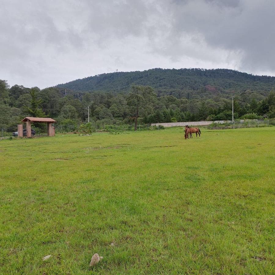 LAND FOR SALE IN VALLE DE BRAVO WITH ZONING CLASSIFICATION H.333.A
