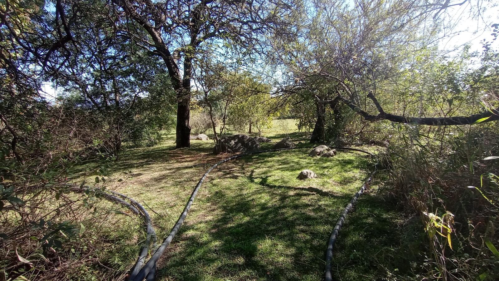 High-Altitude Ranch in Villa de Las Rosas | 2.5 Hectares | Nestled Between Mountains and Valleys