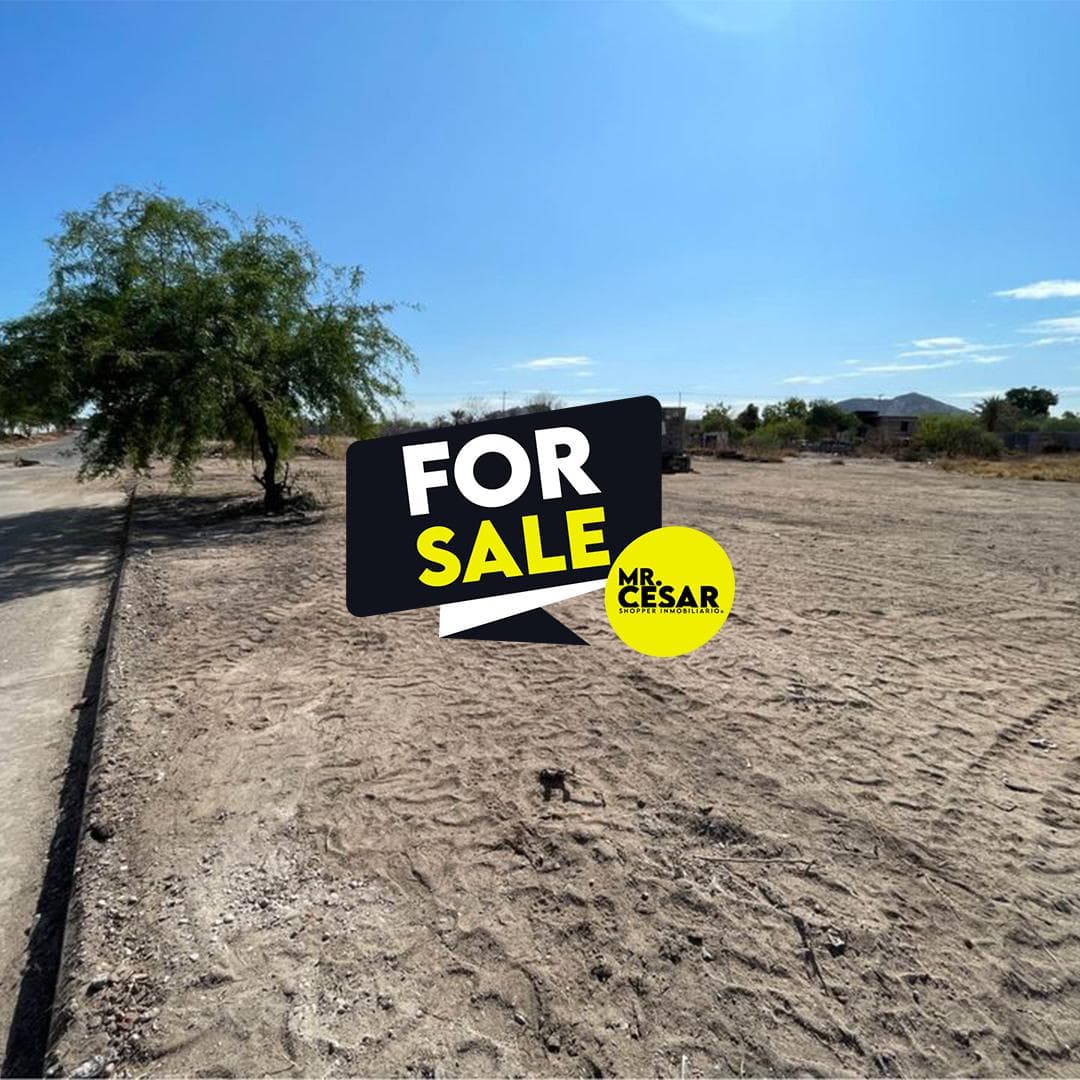 Land for Sale in Palo Verde