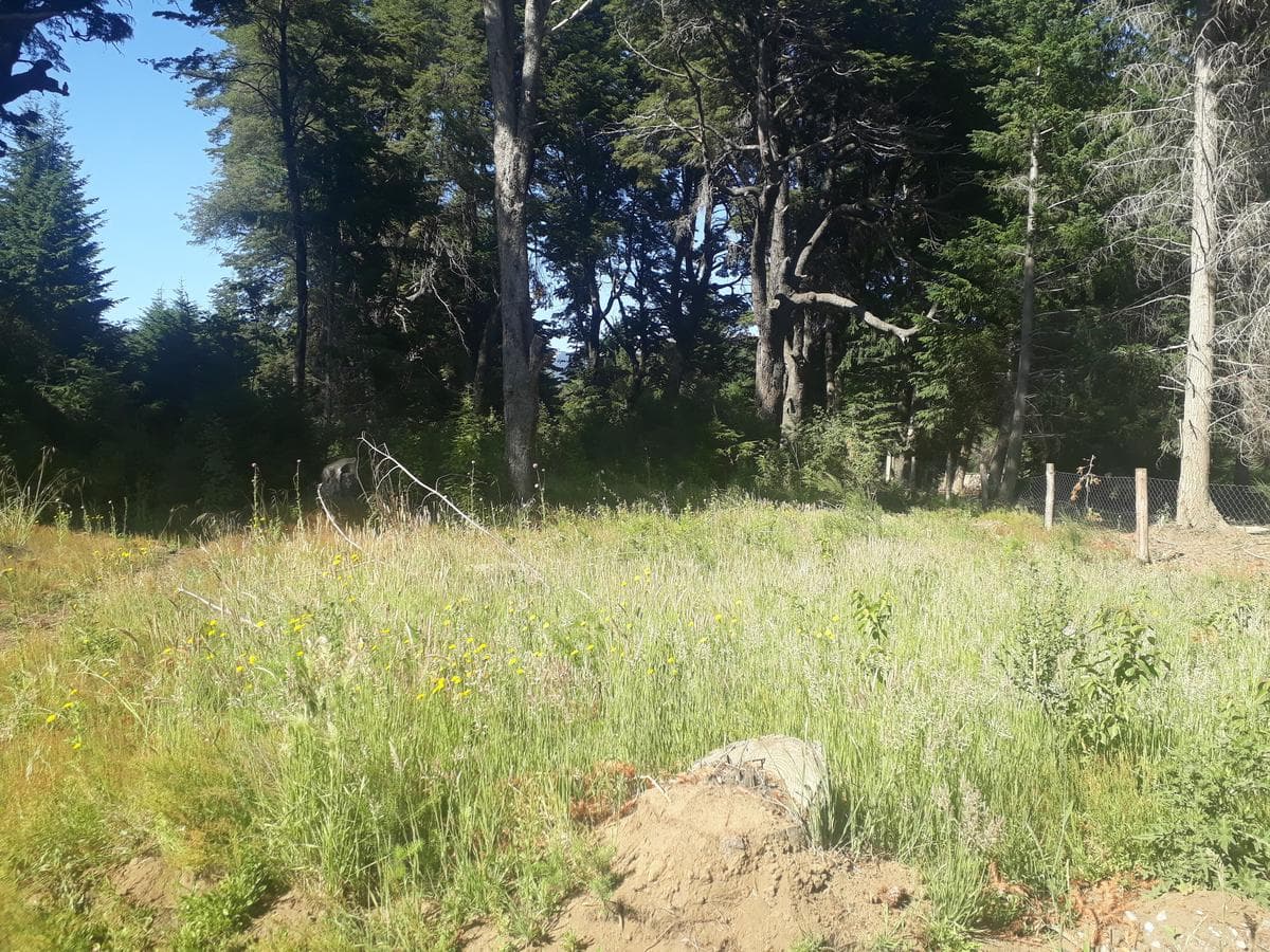 Plot suitable for a culinary tourism venture, Av. Bustillo, km 21 - Bariloche
