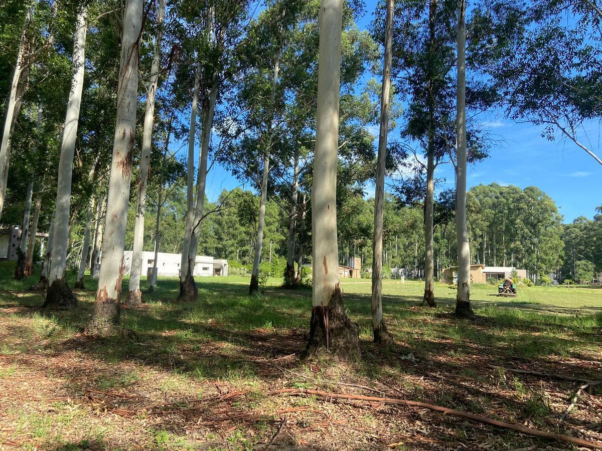 Lots for sale at Aldea Club de Campo in Colón, Entre Ríos, starting at USD 38,000!