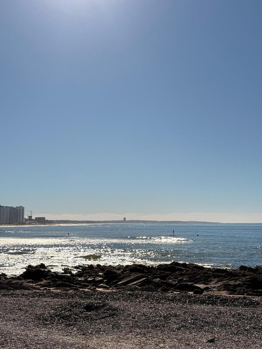 Apartment for Sale in the Curra Lauquen Building - TM28745