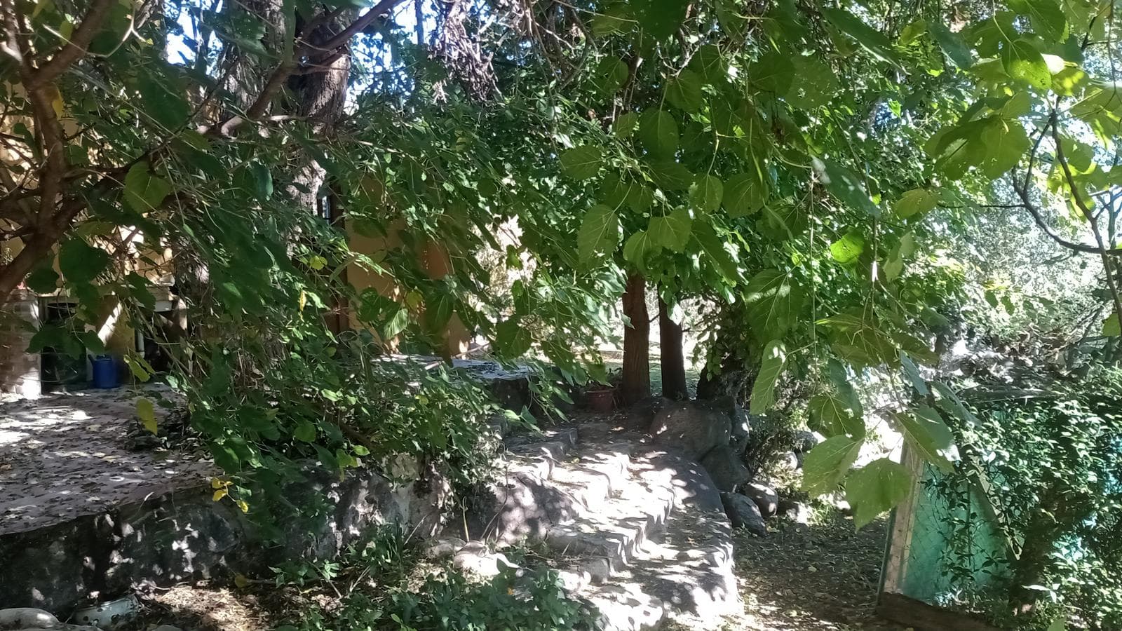 High-Altitude Ranch in Villa de Las Rosas | 2.5 Hectares | Nestled Between Mountains and Valleys